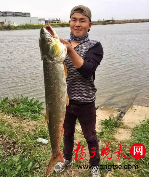 小伙钓到12.5公斤鳡鱼 20分钟才弄上岸(组图)