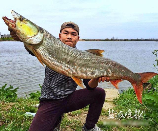 小伙钓到12.5公斤鳡鱼 20分钟才弄上岸(组图)