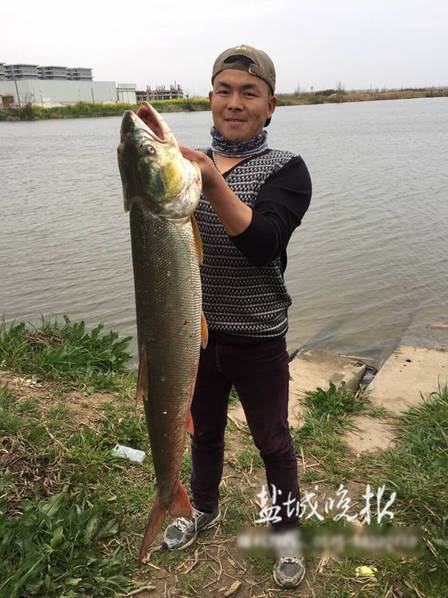 小伙钓到12.5公斤鳡鱼 20分钟才弄上岸(组图)