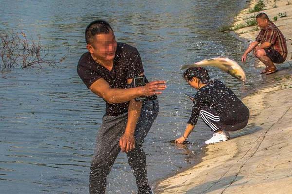 公园池塘缺氧养鱼户发愁,市民徒手捞鱼