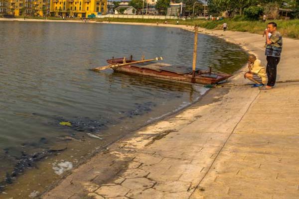 公园池塘缺氧养鱼户发愁,市民徒手捞鱼