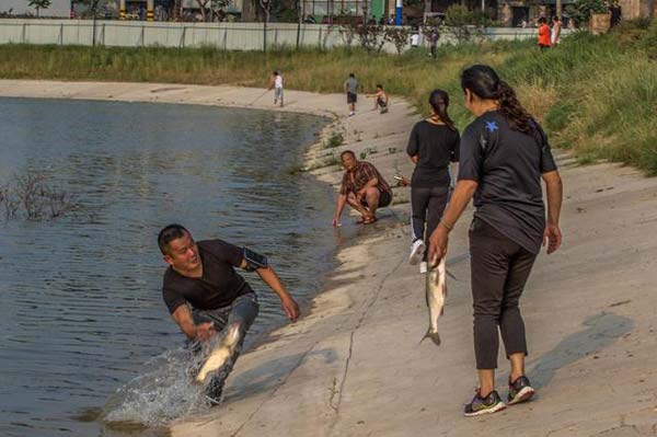 公园池塘缺氧养鱼户发愁,市民徒手捞鱼