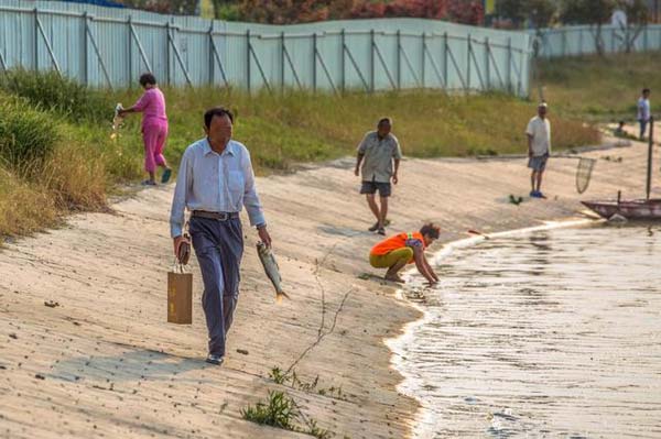 公园池塘缺氧养鱼户发愁,市民徒手捞鱼