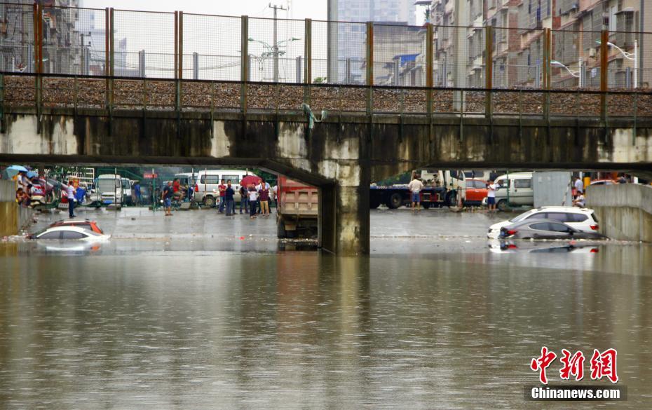 6月13日早上6时许，广西柳州市下起倾盆大雨，致使该市柳江区拉堡镇乐都大道涵洞积水约2米，多辆停放在此的车辆被水泡。该涵洞还未启用，附近不少居民将此处当停车场，而入口处被绿色的铁丝网围住，悬挂着“施工重地，闲人免进”，“施工通道，禁止停车”等字样的警示牌。 朱柳融 摄