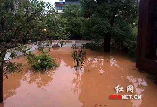 住户家往日嬉闹的院子，如今已成汪洋大海。