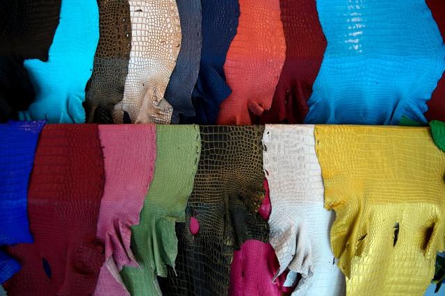 泰国鳄鱼养殖场：从破壳而出到做成名贵包包