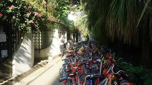 200辆共享单车乱停放！蛇口海上世界沦为重灾区