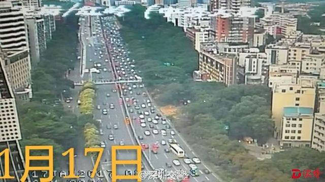 深圳早高峰车少了一般 网友：我可能过的假梅林关