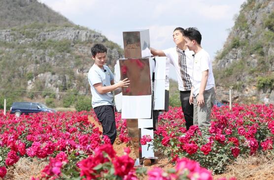 王俊凯银色铁甲装隐匿密林