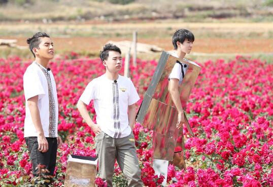 王俊凯银色铁甲装隐匿密林