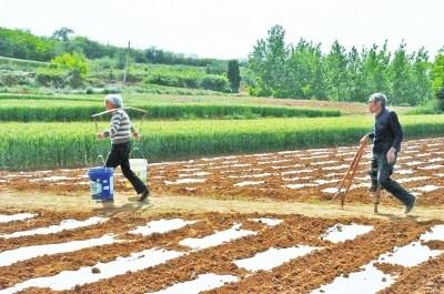 丈夫因车祸截肢撵她走洛阳女子不离不弃相守40年